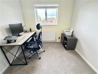 Picture 15